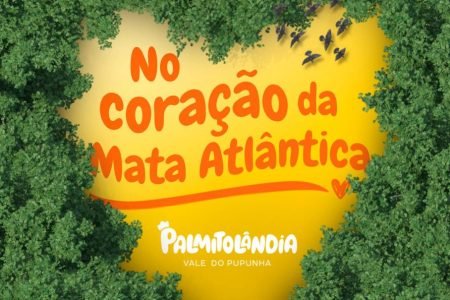 Palmitolândia