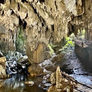 Caverma do Diabo, é o principal atrativo da Grande Reserva Mata Atlânticad do Estado de São PAulo