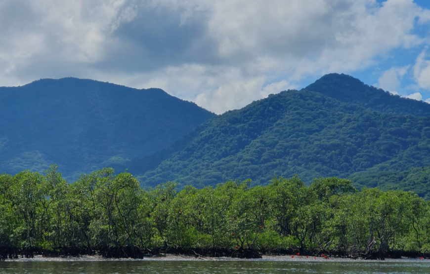 Núcleo Marujá e Barra Nova, Parque Estadual Ilha do Cardoso