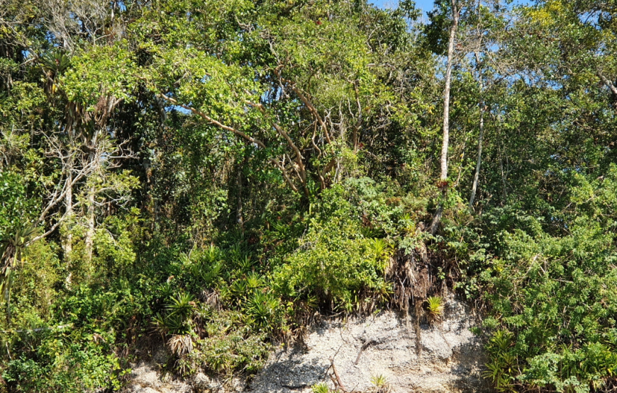 Núcleo Marujá e Barra Nova, Parque Estadual Ilha do Cardoso