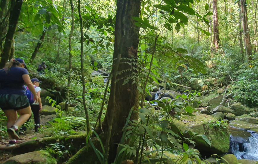 Núcleo Marujá e Barra Nova, Parque Estadual Ilha do Cardoso